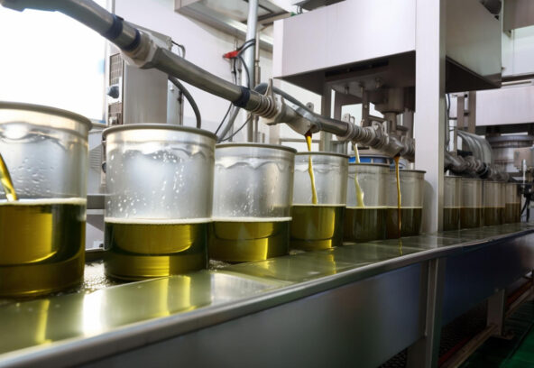 organik-zeytinyagi-ile-konvansiyonel-uretim-arasindaki-farklar