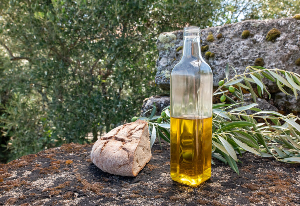 surdurulebilir-tarimin-zeytinyagi-uretimindeki-rolu
