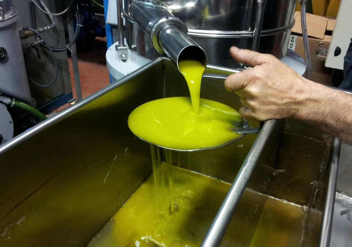 zeytinyagi-uretim-ve-isleme-hizmetleri3